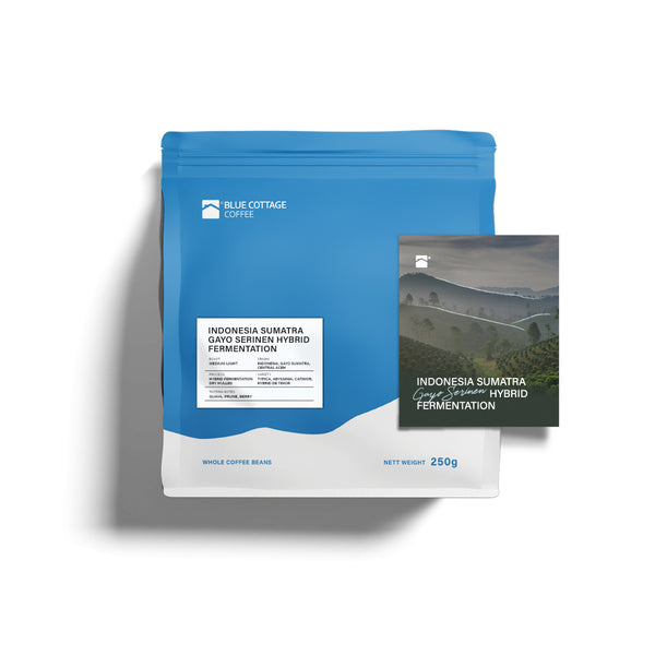 Indonesia Sumatra Gayo Serinen Hybrid Fermentation (Filter)