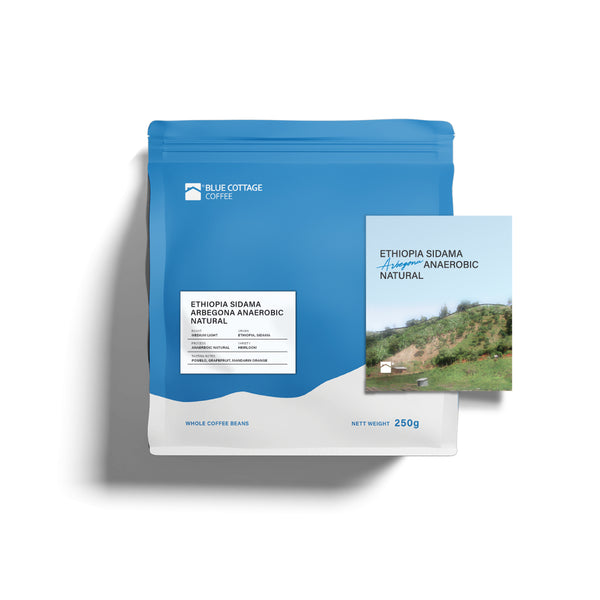 Ethiopia Sidama Arbegona Anaerobic Natural
