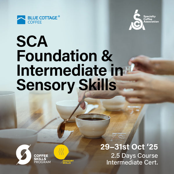 SCA Foundation & Intermediate in Sensory Skills (Oct '25)